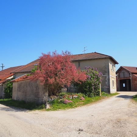 Le Gite Du Haut Chatillon-la-Palud Exterior photo